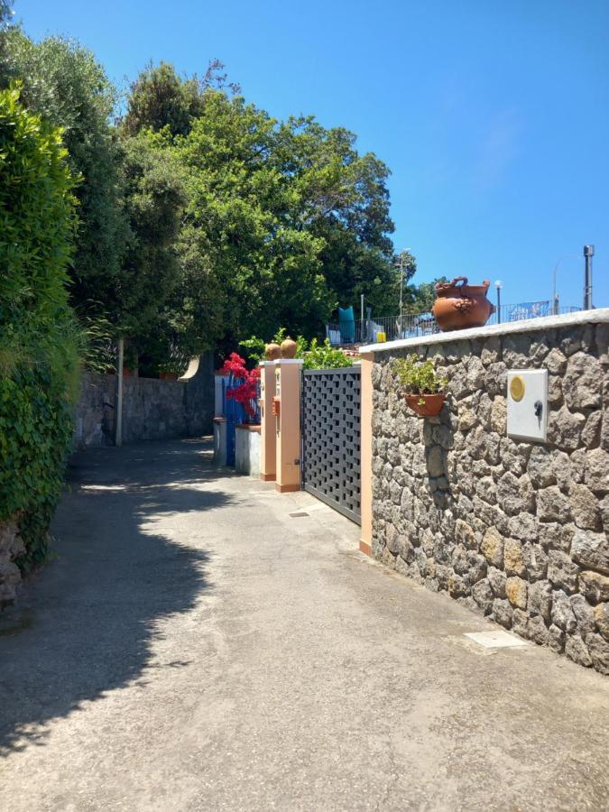 Villetta Panoramica Forio di Ischia エクステリア 写真